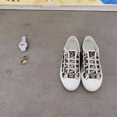 家上新啦，与官网同步出厂价 元 浅金色WALK N DIOR 刺绣帆布鞋系列 全棉丝双面立体刺绣 此款鞋所有材料均为原版开模，上至五金，鞋带，大底，PU中垫..