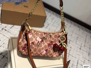 配挂件 配折叠盒子 Coach 蔻驰腋下包 单肩包斜挎包手提包购物袋 容量非常可，很实用的一款尺寸24 13